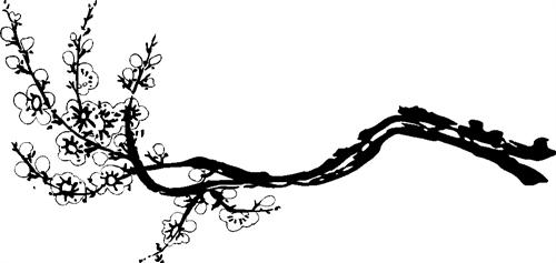 Cherry Blossom Branch