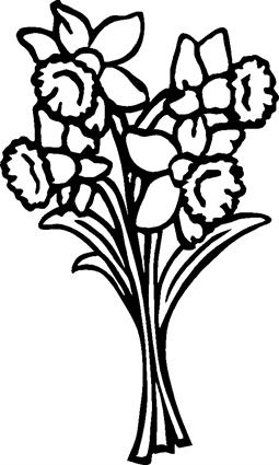 Daffodils02
