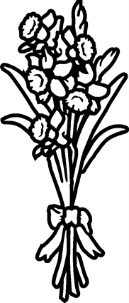 Daffodils13