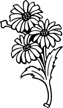 Daisies 09