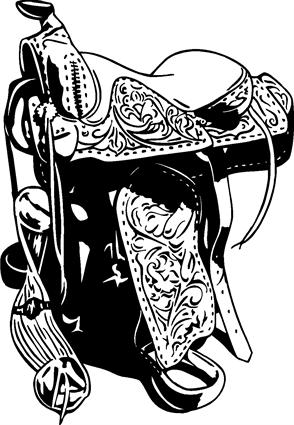 Saddle01