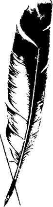 Feather Pen06