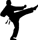 1002-Karate
